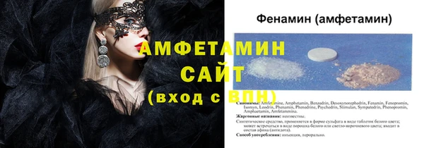 мдпв Ельня