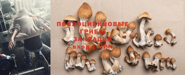 винт Заводоуковск