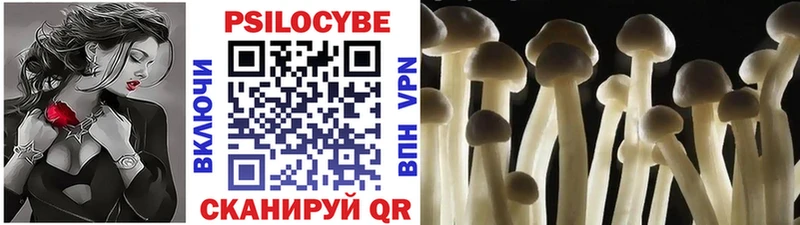 Галлюциногенные грибы Cubensis  Купить где  Новотитаровская 